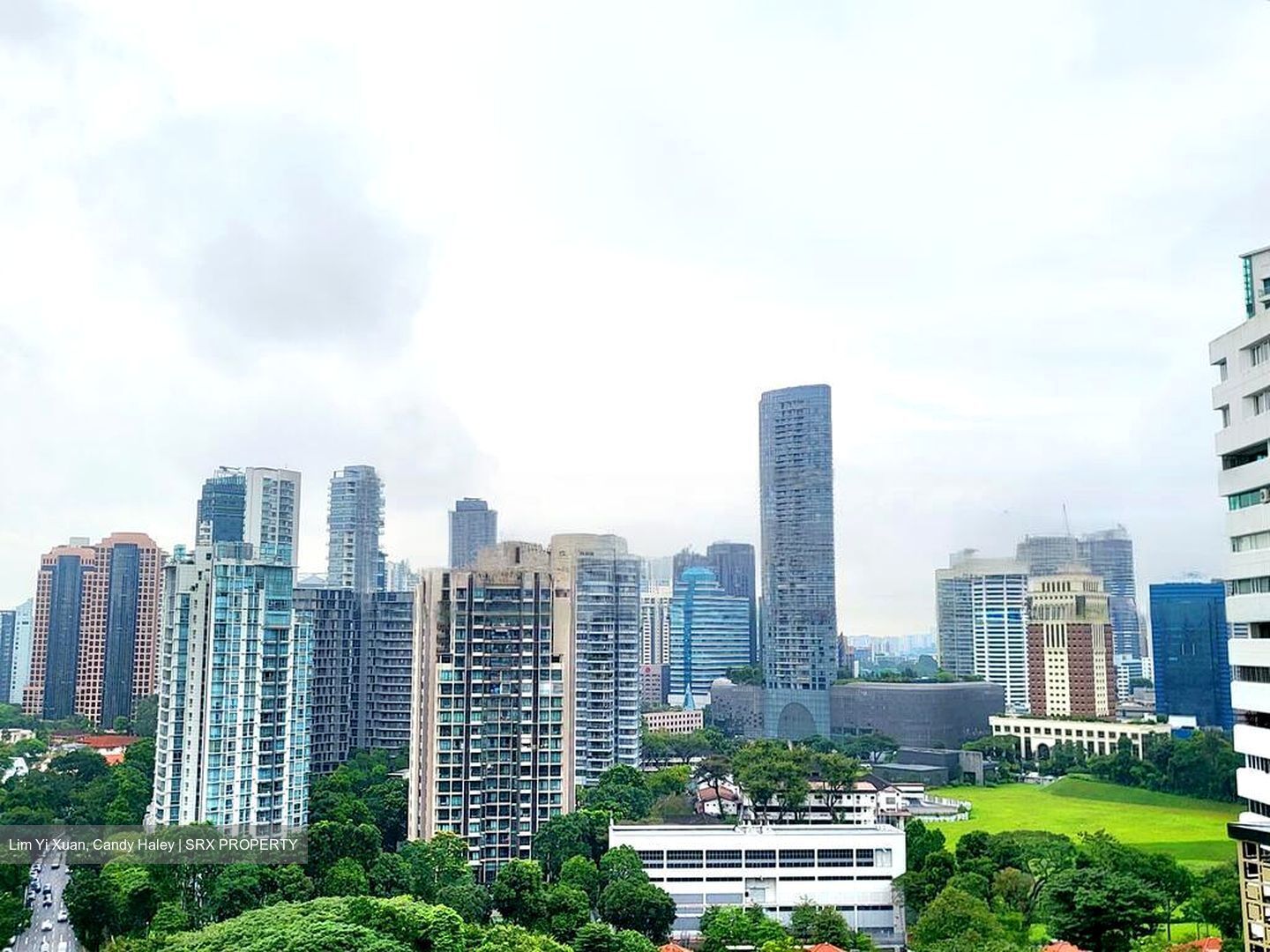 Irwell Hill Residences (D9), Apartment #471678841